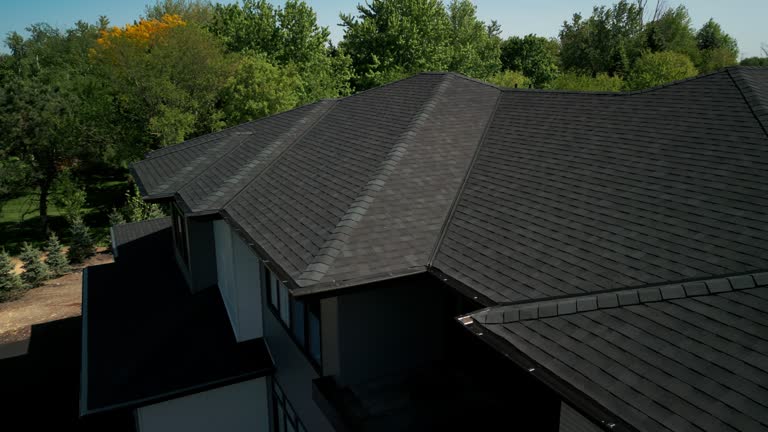 Best Roof Moss and Algae Removal  in Sun Valley, ID